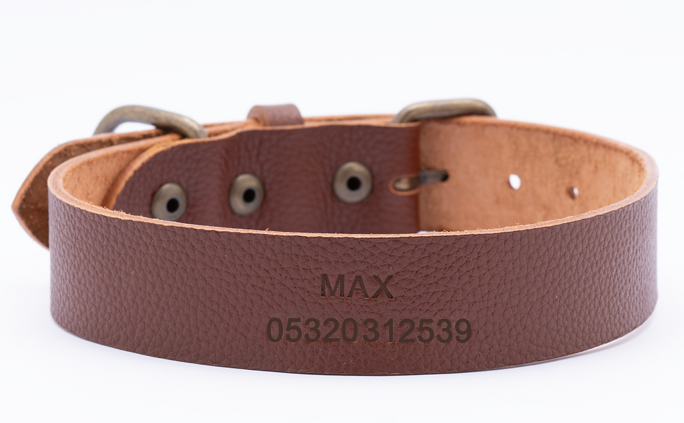 Küçük resim: Köpek Tasması