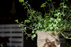 Captura de pantalla 2015-09-21 a las 9.50.13