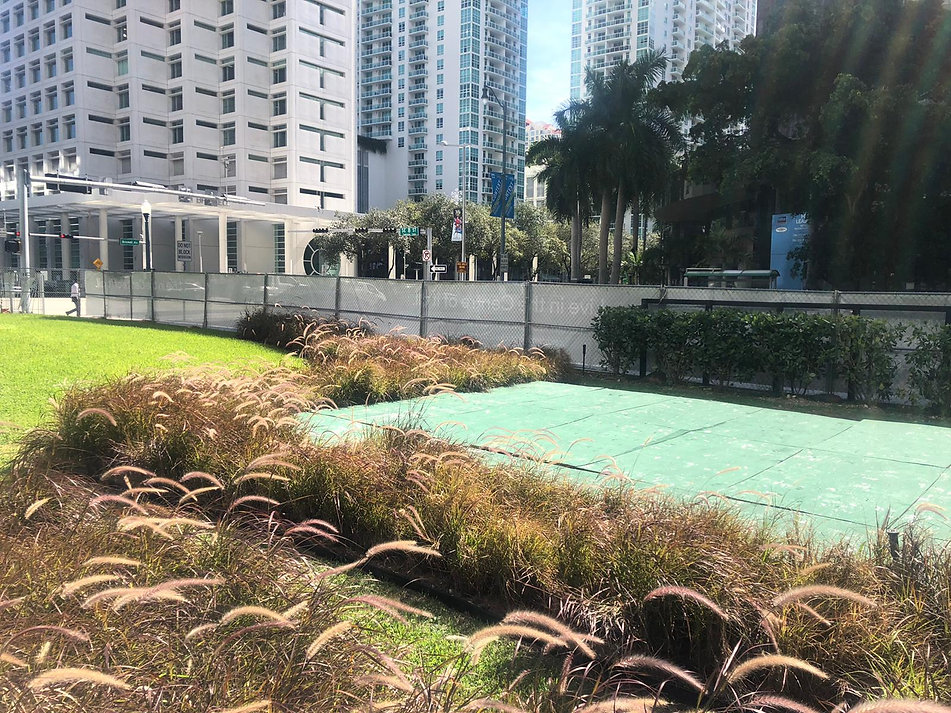 PROCESO, CASACOR MIAMI JESUS PACHECO.jpe