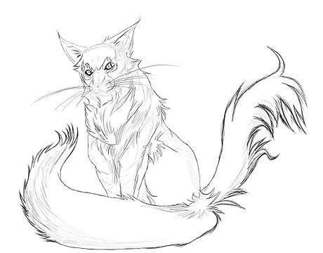 16442942_10154470107588985_1128333481_o.