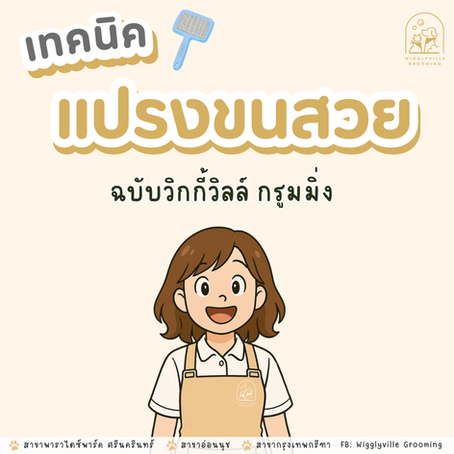 เทคนิคแปรงขนให้สวย