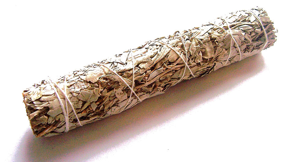 Californian White Sage 9" Smudge Stick