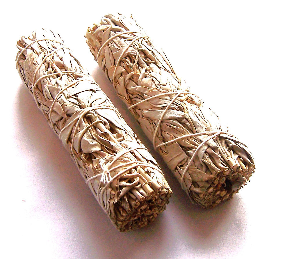 White sage sticks
