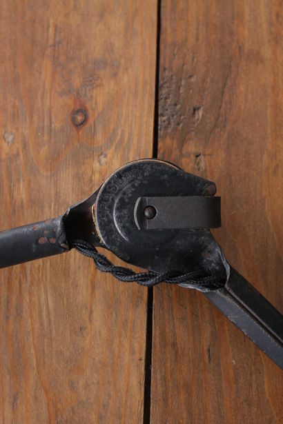 サムネイル： LM-219 Gras Lamp Nﾟ214