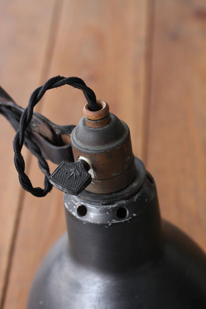 サムネイル： LM-219 Gras Lamp Nﾟ214