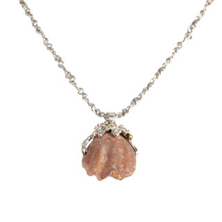 Unique necklace with fossilized shell