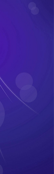 Purple Divider