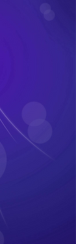 Purple Divider