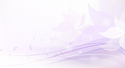 Purple Divider