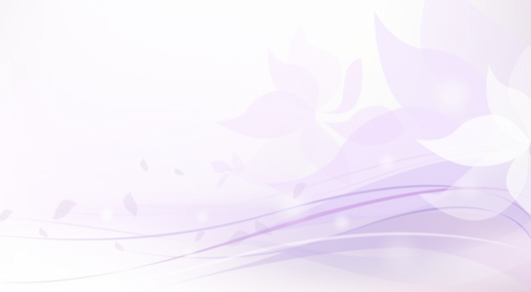 Purple Divider