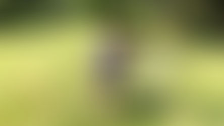 22 Months of Lessons Learned from Losing My Mum