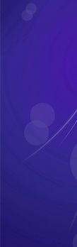 Purple Divider