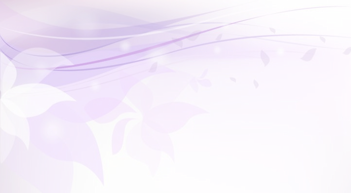 Purple Divider