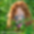 Sam Squatch Creepy Acres Art