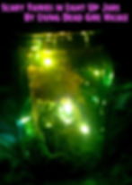 Scary Fairy Light Up Jars