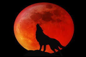 Easy werewolf spells