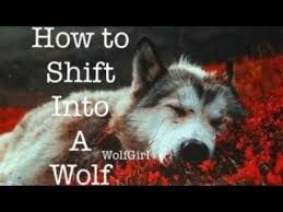 What do i need for the werewolf spells ingredients