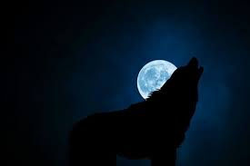 Werewolf spells that actually work