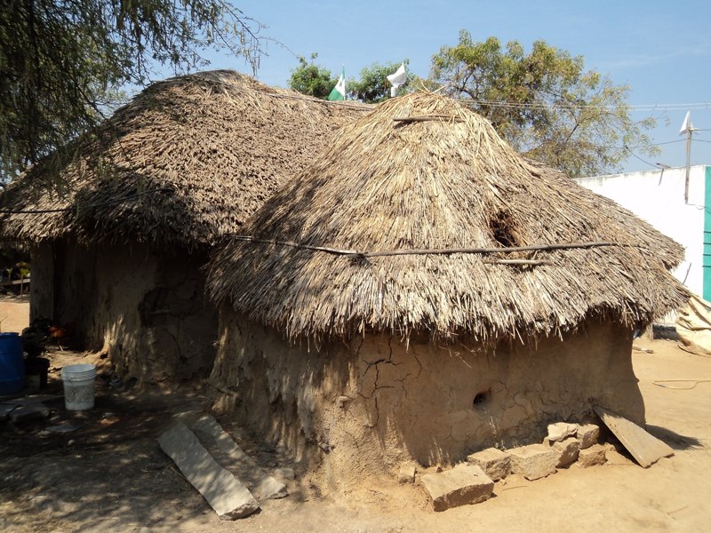 India, February 2011, photo 4