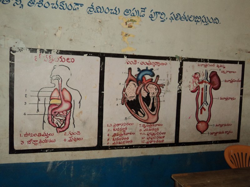 Medical Camp 2011, photo 2