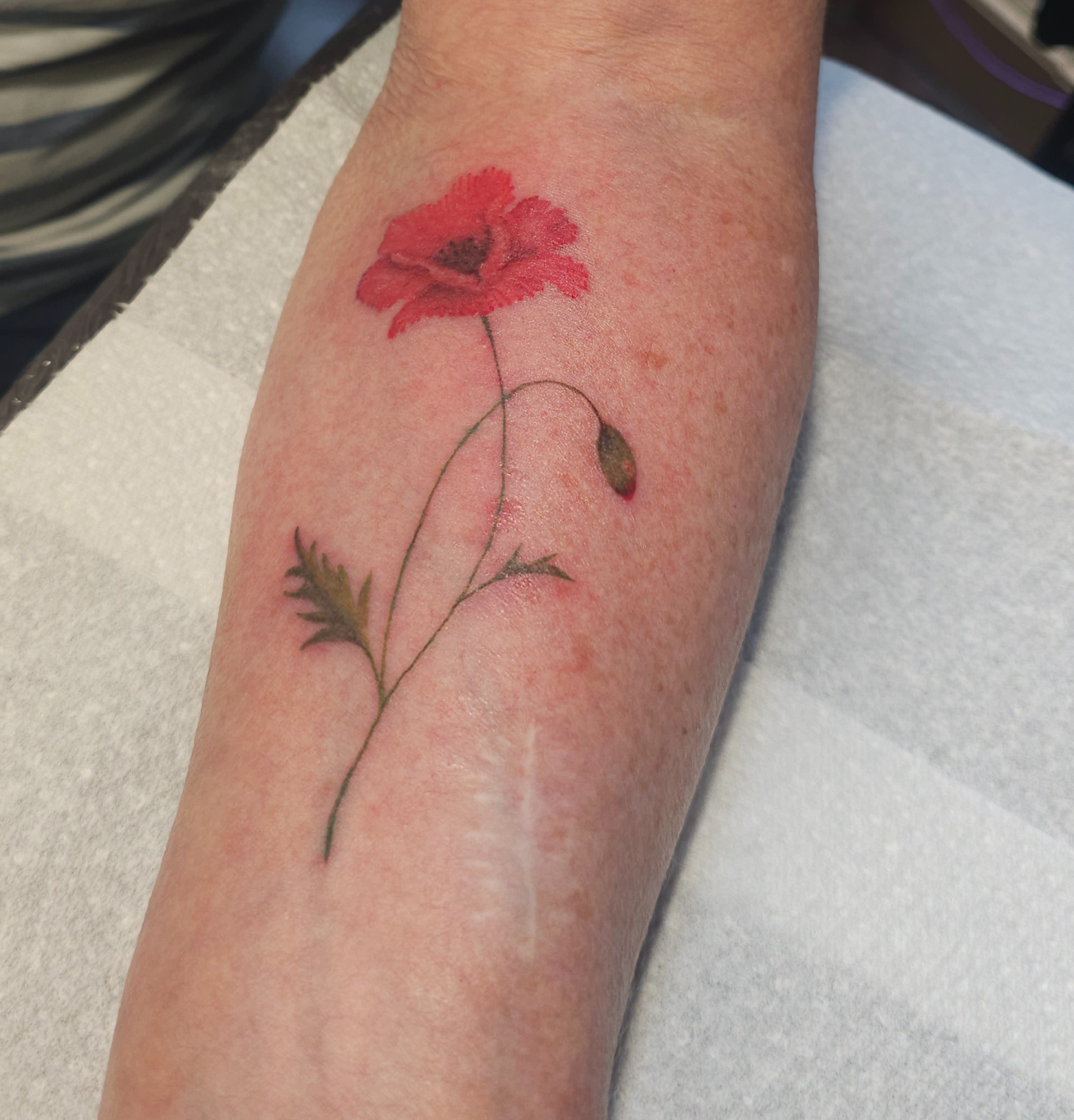 Fine line red poppy flower tattoo with a delicate stem and leaves on the forearm.