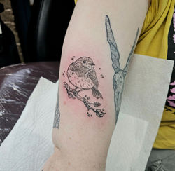 20250116_112047_edited