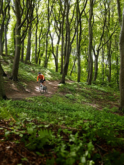 GAB2107_PFA_Cykel__0066