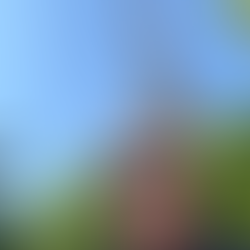 I made it to the Eiffel Tower