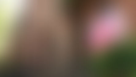 US Renting at Highest in half a Century