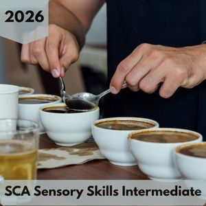 SCA Sensory Skills Intermediate | Firedancer Coffee Educators