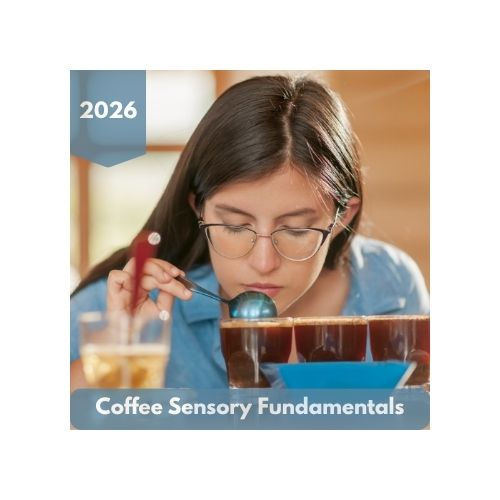 Coffee Sensory Fundamentals Firedancer Coffee Consultants