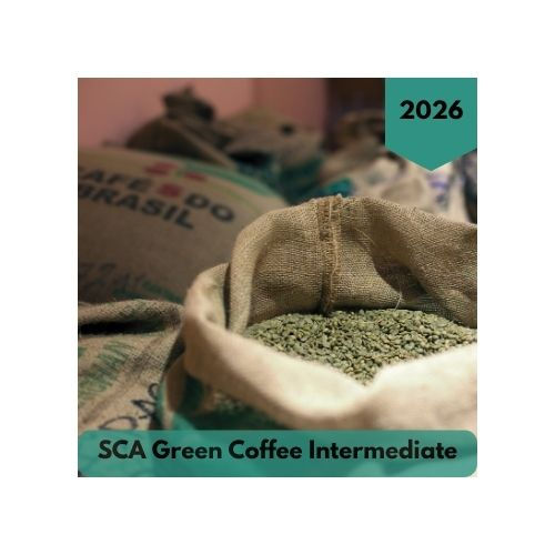 SCA Green Coffee Intermediate | Firedancer Coffee Educators