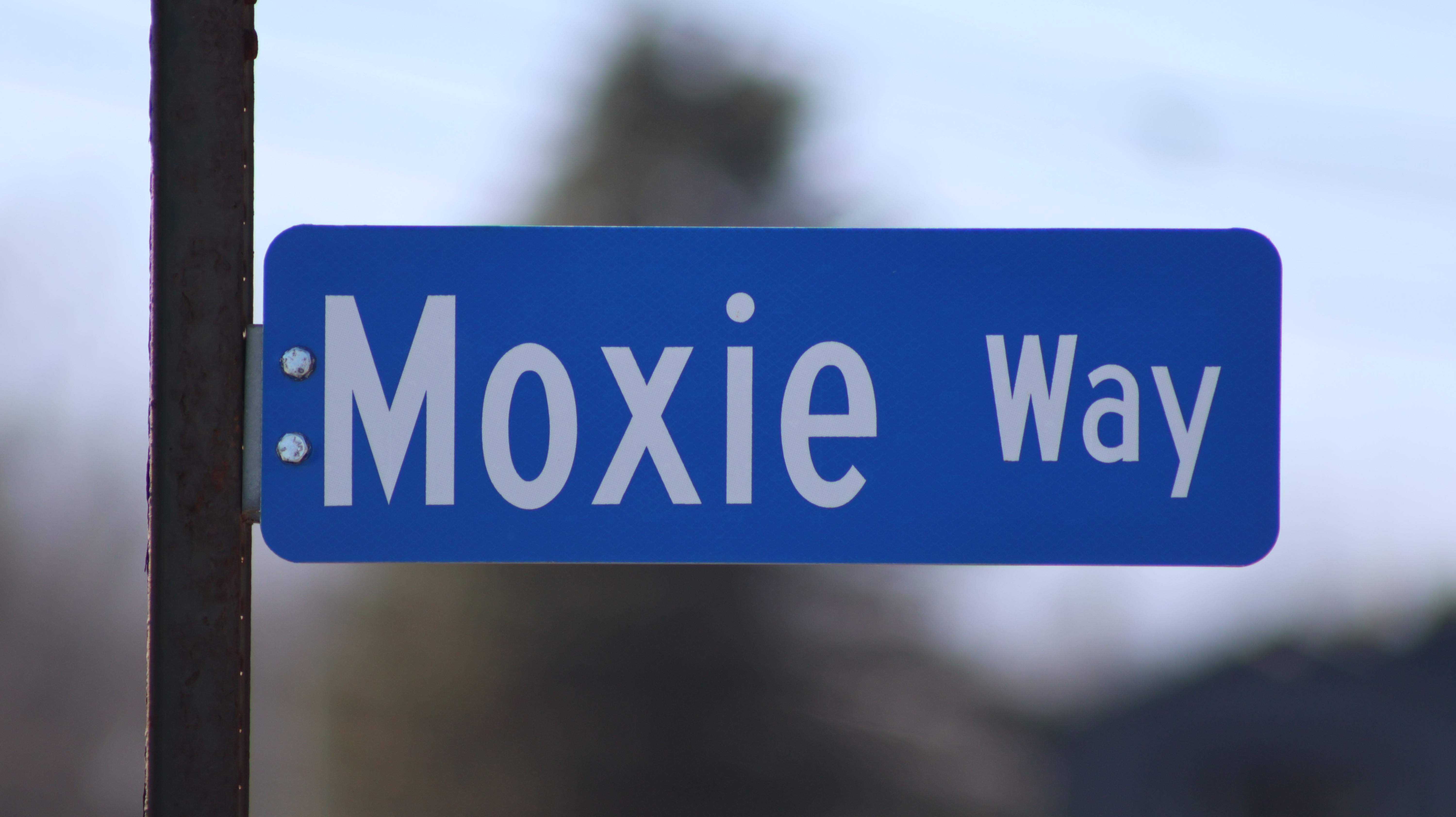 Moxie Way