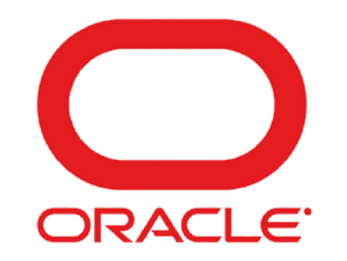 אורקל: איך ענקית ותיקה הפכה ללהיט החדש של מהפכת ה- AI