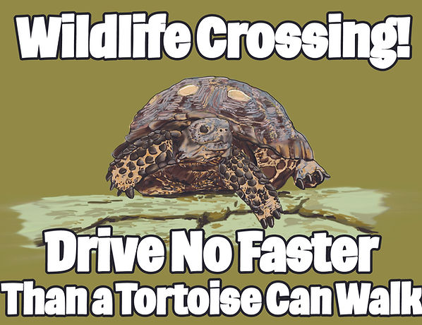 CCR_SLOW DOWN SIGN.jpg