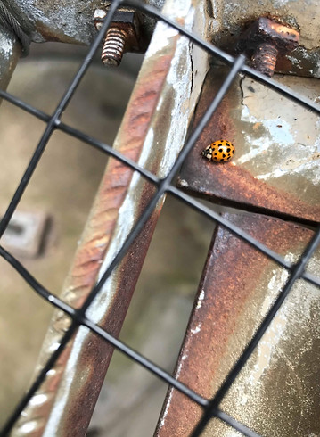 80574416_759591804508398_797725799685187