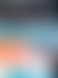 Neuer Prüfstein in Lüneburg