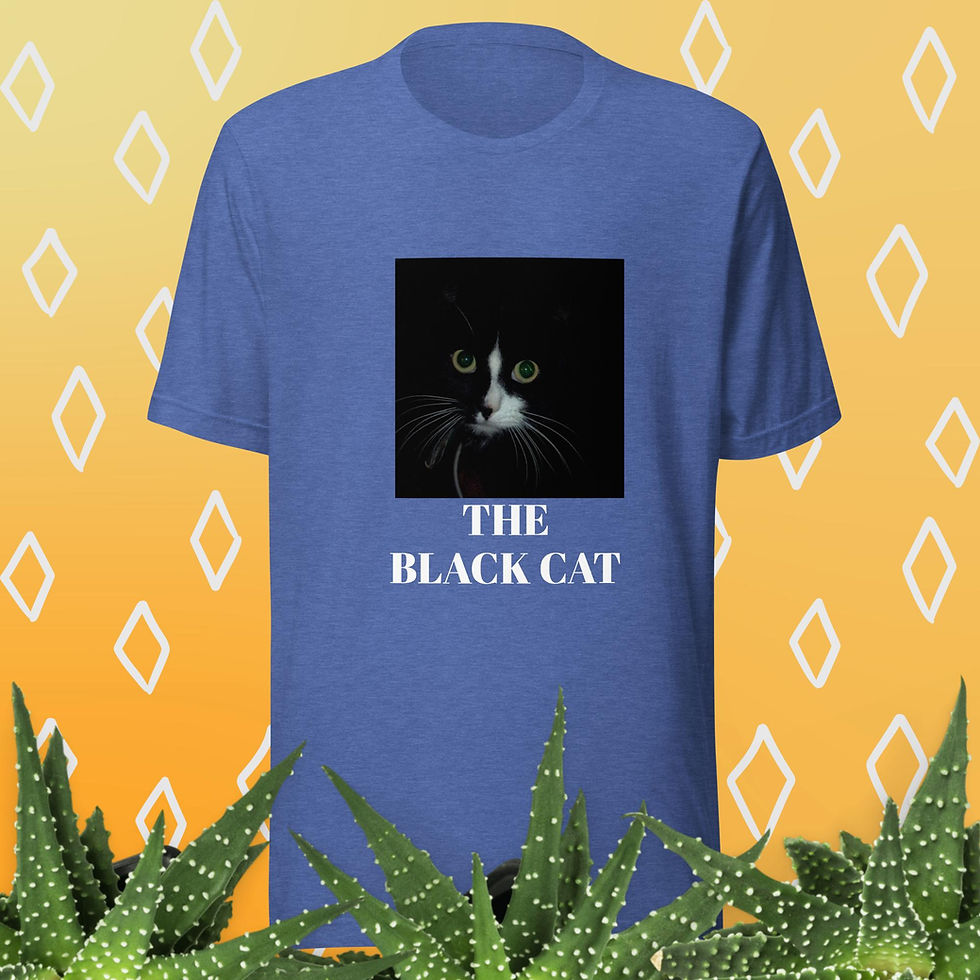 Thumbnail: Black Cat Tshirt