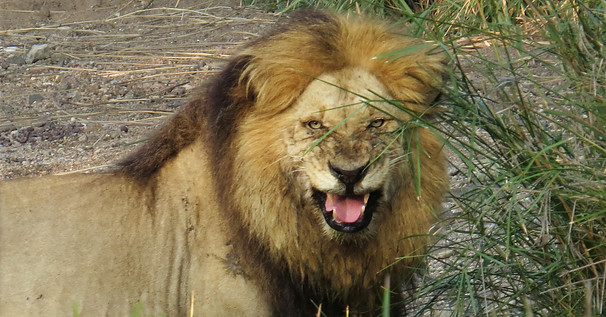 IMG_8716 - Copy - Copy.JPG