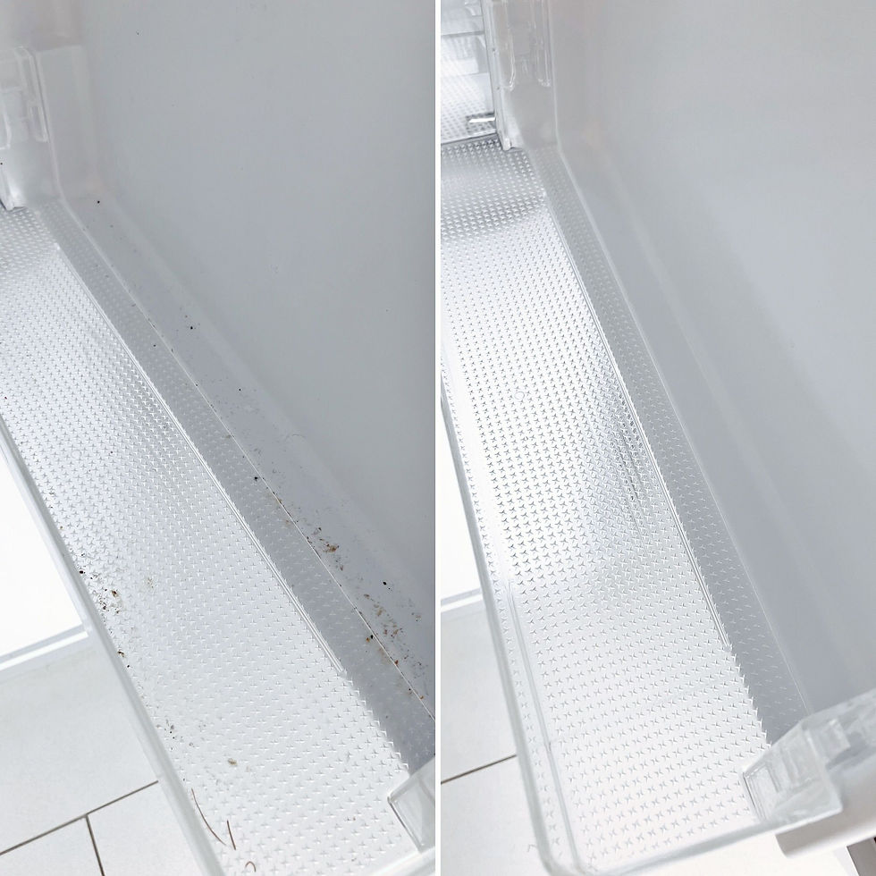 Fridge 2