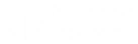 BI.png
