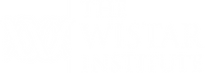 wistar-stack (THIS ONE).png