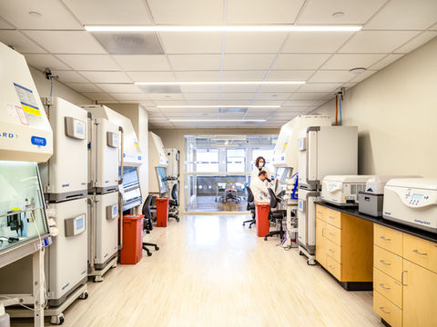 Web Optimized-5547.jpg