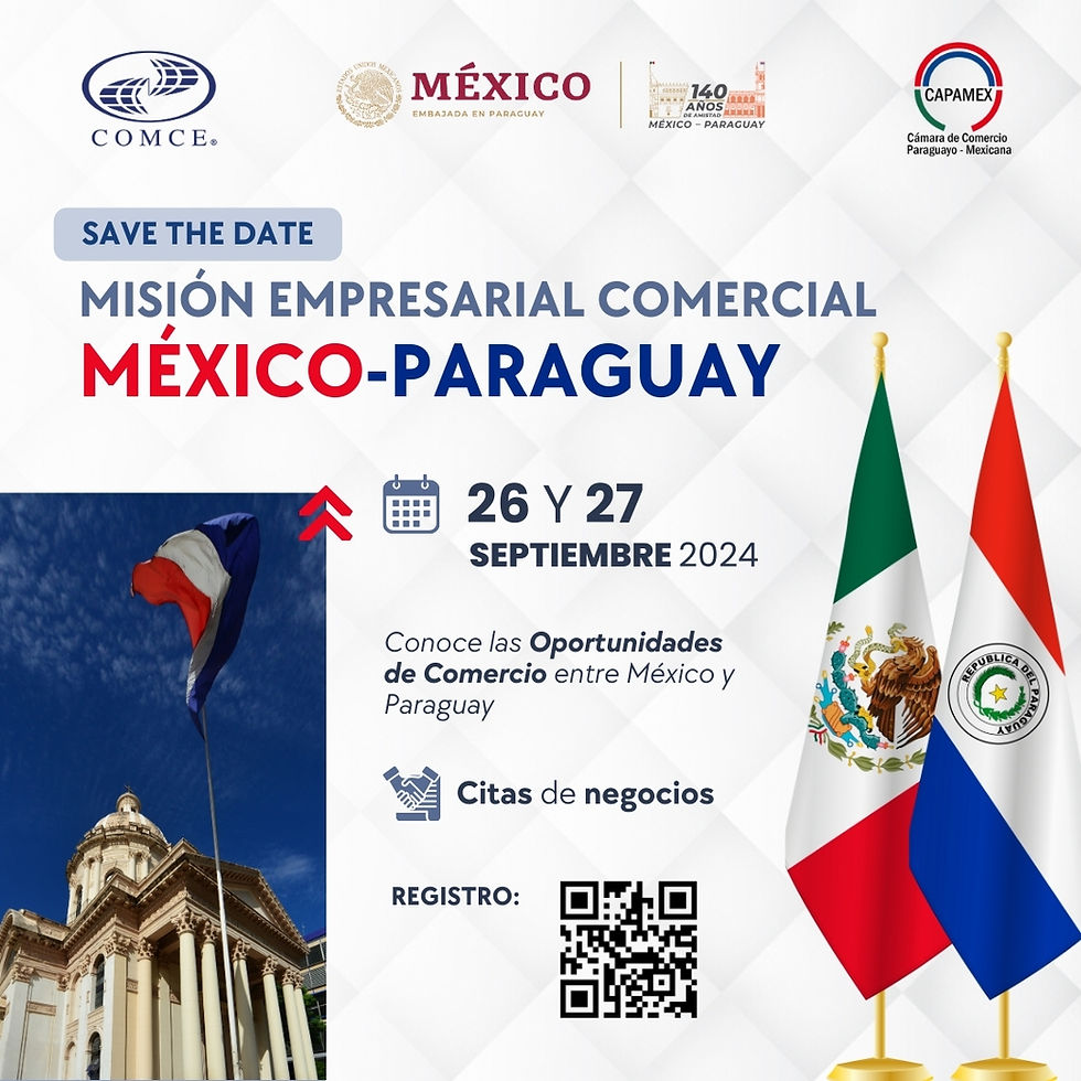 Misión Empresarial México - Paraguay