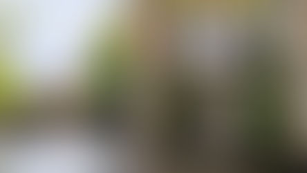 BRUGES, la capitale delle Fiandre