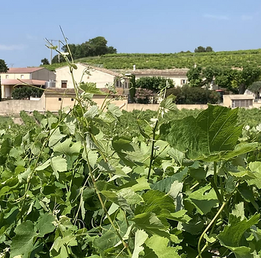 Domaine de Cassillac - Valréas et Visan