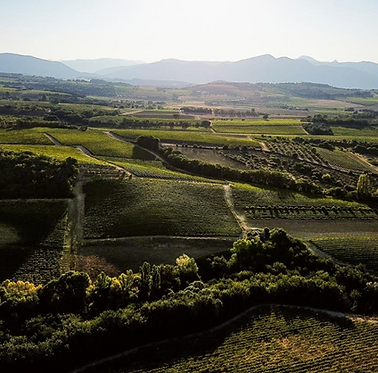 Clos Bellane - Vinsobre