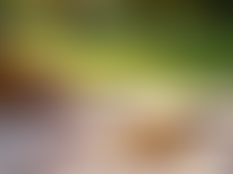 Break Free from All-or-Nothing Thinking This Summer with These Simple Strategies