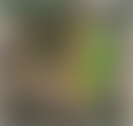 Is Whitetail Habitat Design Right for Me?