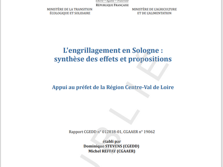 Synthèse des effets et propositions